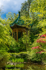 garden in chinese style. The oriental pavilion
