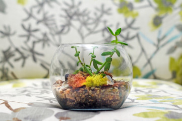 Terrarium on trendy flower and leaf pattern chair