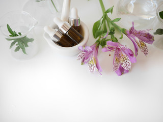 alternative medicine herb