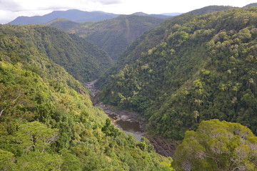 Fototapeta premium Kuranda Cairns Australia