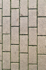 decorative paving tile on the sidewalk. background, texture, pattern.