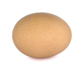 Egg on White Background