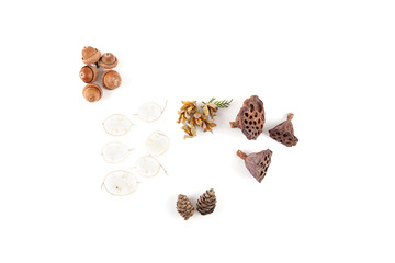 Christmas decoration on white background