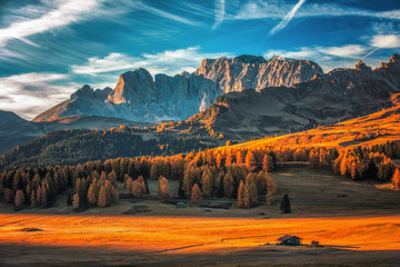 Aerial autumn sunrise scenery with yellow larches and small alpine building and Odle - Geisler...