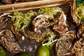 Fresh oyster with lemon lime and sea kale
