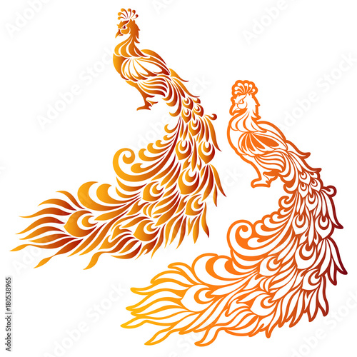 最高のイラスト画像 これまでで最高の孔雀 の イラスト