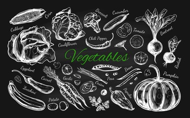 Vegetables collection. Vector hand drawn illustration. Isolated objects on white. Sketch style