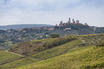 Fototapeta premium Beautiful hills with vineyards in Tuscany with town San Gimignano in Italy