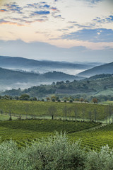 Beautiful sunrise with some fog between the hills with vineyards in Tuscany in Italy