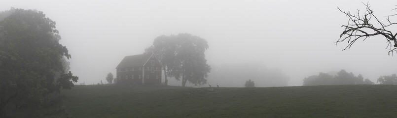 A black and white picture of the Swedish countryside in the morning with the fog hanging thick over the landscape.    