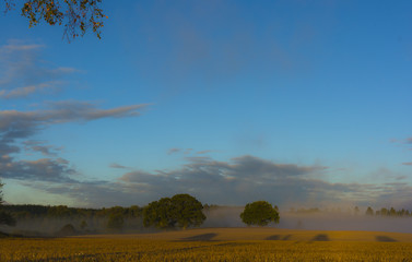 Mystical farm field with pronounced clouds and trees giving the picture great depth.             