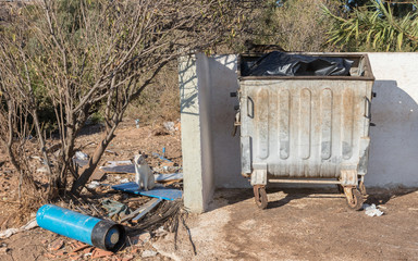 Garbage container in Greece