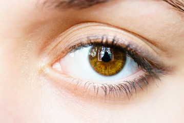 Obraz premium Female brown eyes