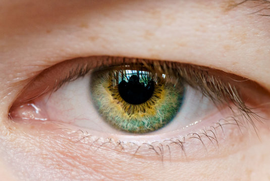 Green male eye macro