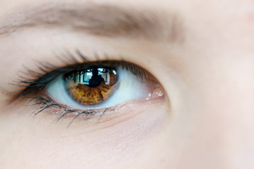 Fototapeta na wymiar Female brown eyes