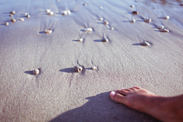 Young woman on the beach