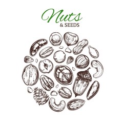 Nuts and seeds collection. Vector Hand drawn objects . Isolated on white. Modern brushpen Calligraphy.