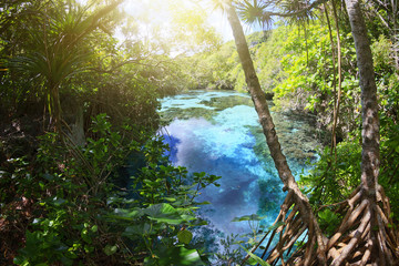 Aquarium naturel de Mar&eacute;