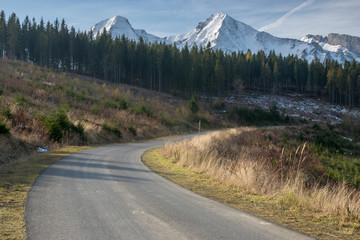 Fototapeta na wymiar asphalt road in the mountains, Tatras, Slovakia