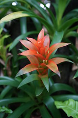 グラデーション