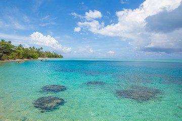 Dans le lagon de Huahiné