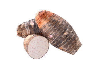 Taro on a white background