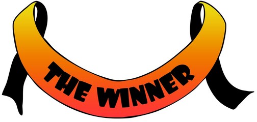 Orange ribbon withTHE WINNER text.