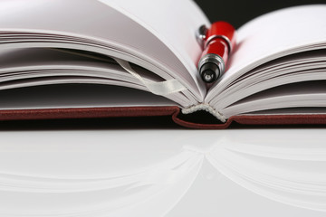 red pen lying on an open notebook.