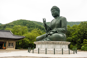 Obraz premium Large bronze Buddha statue of Cheonan Gakwonsa temple.