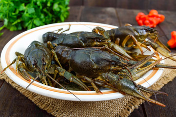 Live crayfish in a ceramic bowl on a dark wooden background.