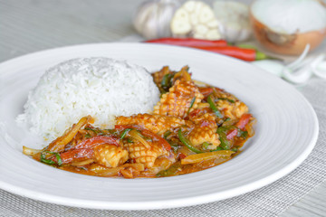Squid cook with thai cilli paste