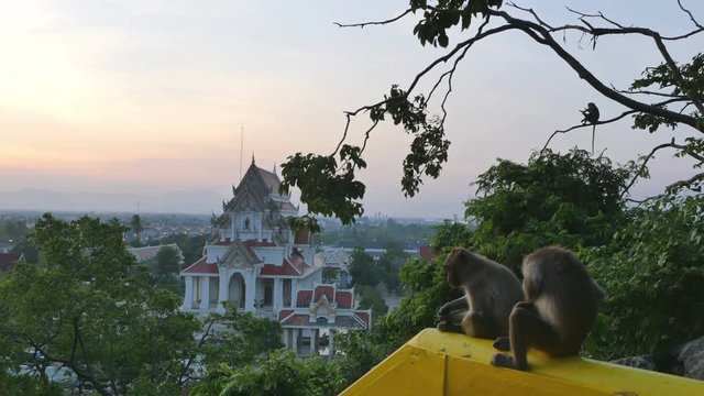 stunning scenery sunset above temple near Khao Chong Krachok in Prajuab Kirikhan province. monkeys come back from the palace on hilltop