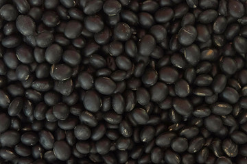Screen full of black beans.
