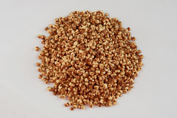sorghum on a white background.