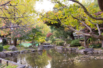 Yokoamicho Park in autumun / Yokoamicho Park is a Tokyo metropolitan park in Yokoami, Sumida-ku, Tokyo Japn.