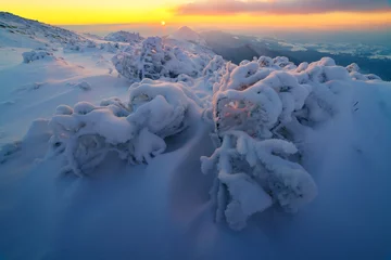 Dekokissen Dramatic wintry scene with snowy trees. © Ivan Kmit