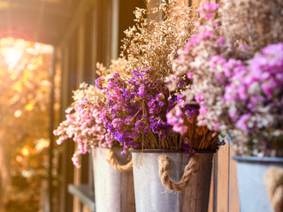 Natural dried flower in purple, pink and white color in a pot with sunset background, vintage style