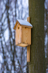 Photo of wooden birdhouse in the forest in winter