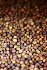 black pepper texture