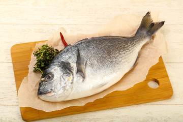 raw dorada fish