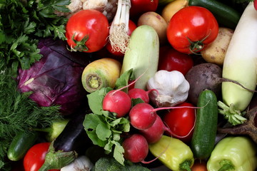 Fresh bio vegetables and herbs closeup.