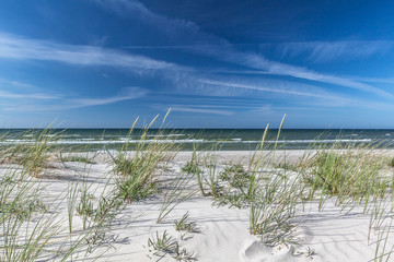 Fototapeta na wymiar Coastal dunes