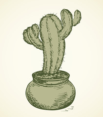 Cactus. Vector drawing