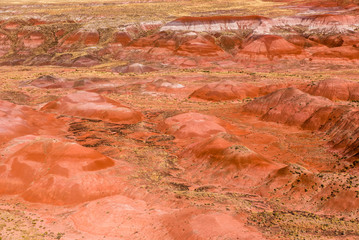 Painted Desert Nationalpark