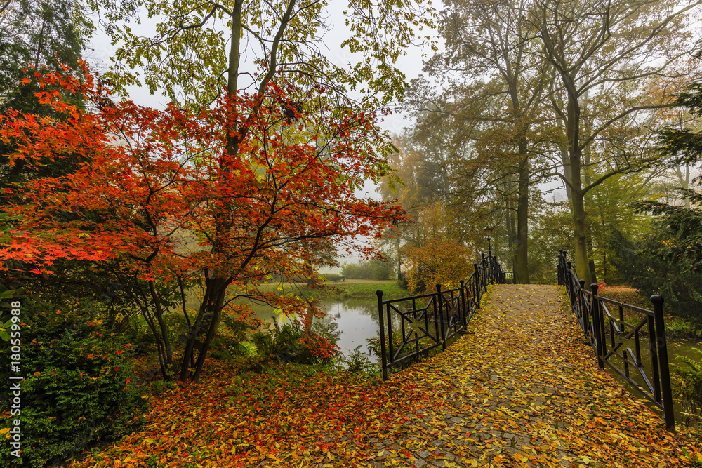 Poster scenic view of misty autumn landscape with beautiful old bridge in the garden with red maple foliage