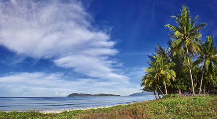 Tropical beach with coconut palm. Coconut palm trees, grass and nobody around. Pantani Cenang and Pantani Tengah beaches, Langkawi, Malaysia. Image with place for text.