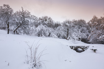 Fototapeta na wymiar Stone bridge in the winter landscape