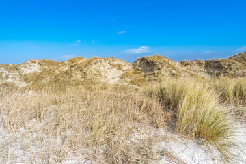 Dünenlandschaft