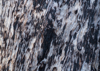 Textured gray and black bar dappled by morning sun