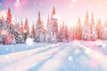 Foto auf Acrylglas Winter Mysteriöse Winterlandschaft majestätische Berge im Winter. Magischer Winterschnee bedeckter Baum. Foto-Grußkarte. Bokeh-Lichteffekt, weicher Filter